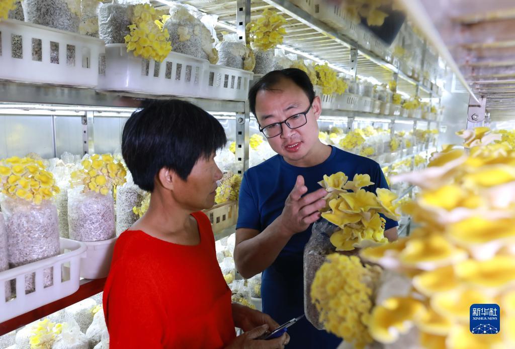 不限id送体验金